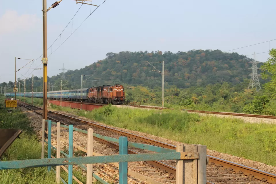 Photo of BETLA national PARK by Suchandan Ghosh