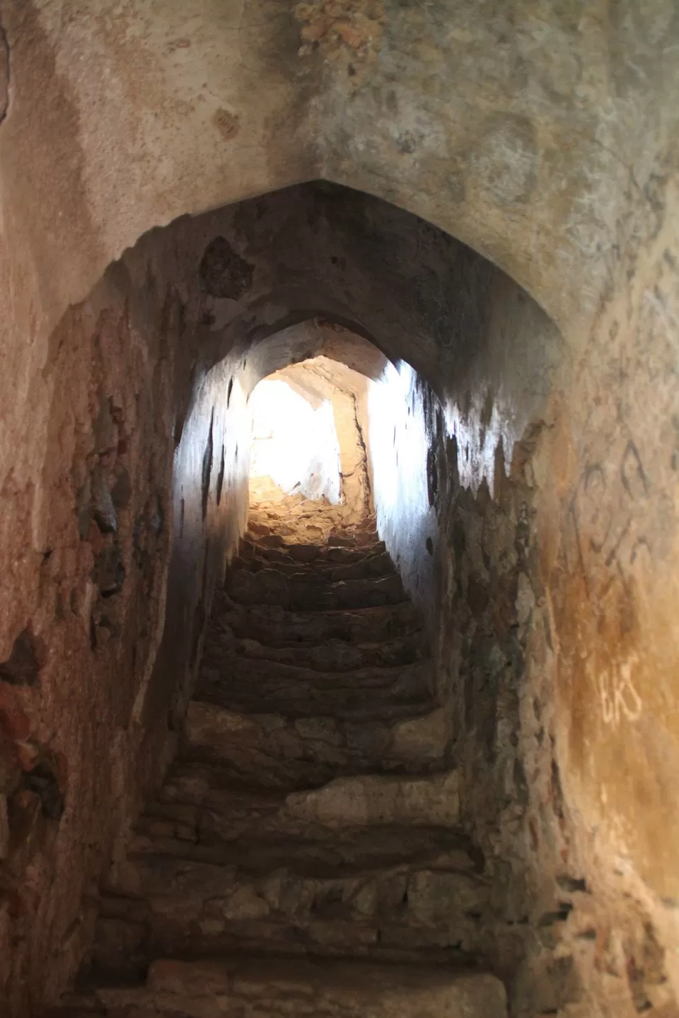 Photo of BETLA national PARK by Suchandan Ghosh