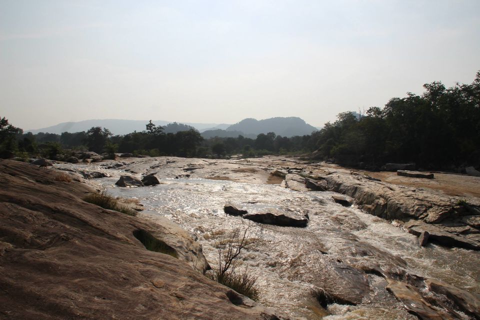Photo of Betla National Park, Palamau, Jharkhand 45/48 by Suchandan Ghosh