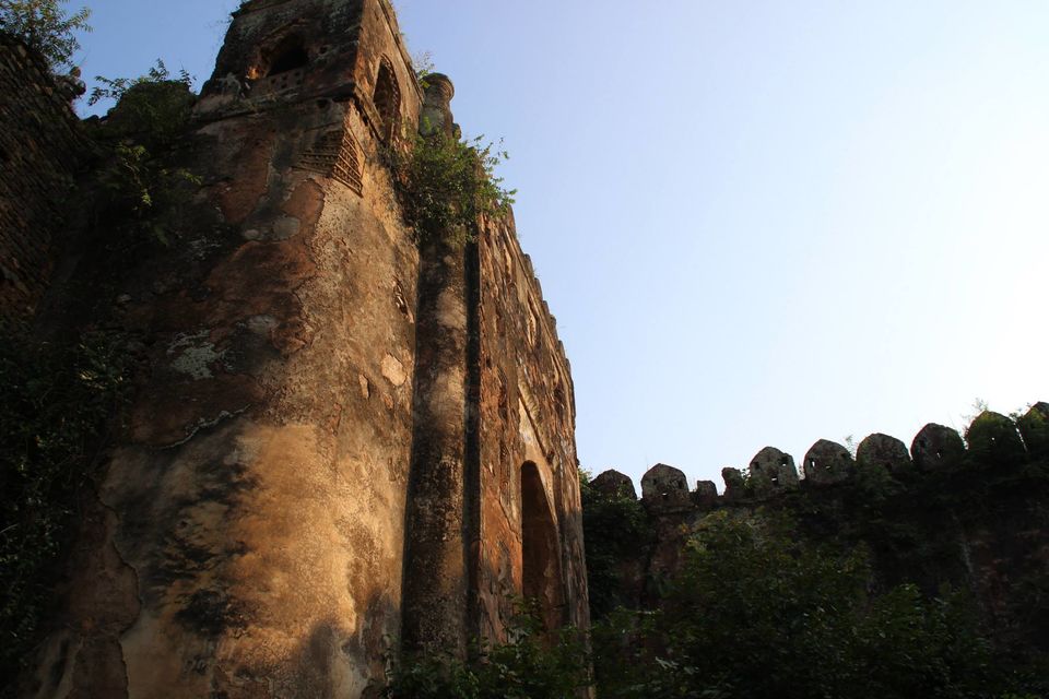 Photo of Betla National Park, Palamau, Jharkhand 14/48 by Suchandan Ghosh