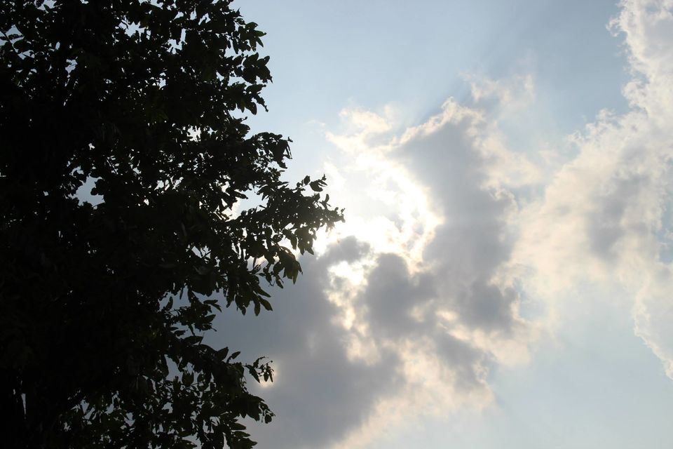 Photo of Betla National Park, Palamau, Jharkhand 8/48 by Suchandan Ghosh