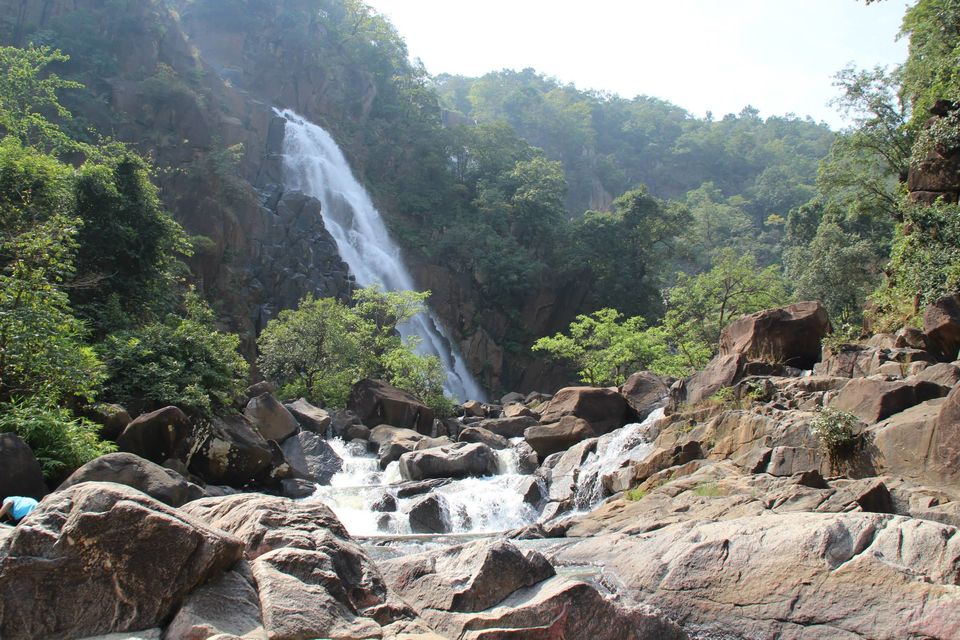 Photo of Betla National Park, Palamau, Jharkhand 43/48 by Suchandan Ghosh
