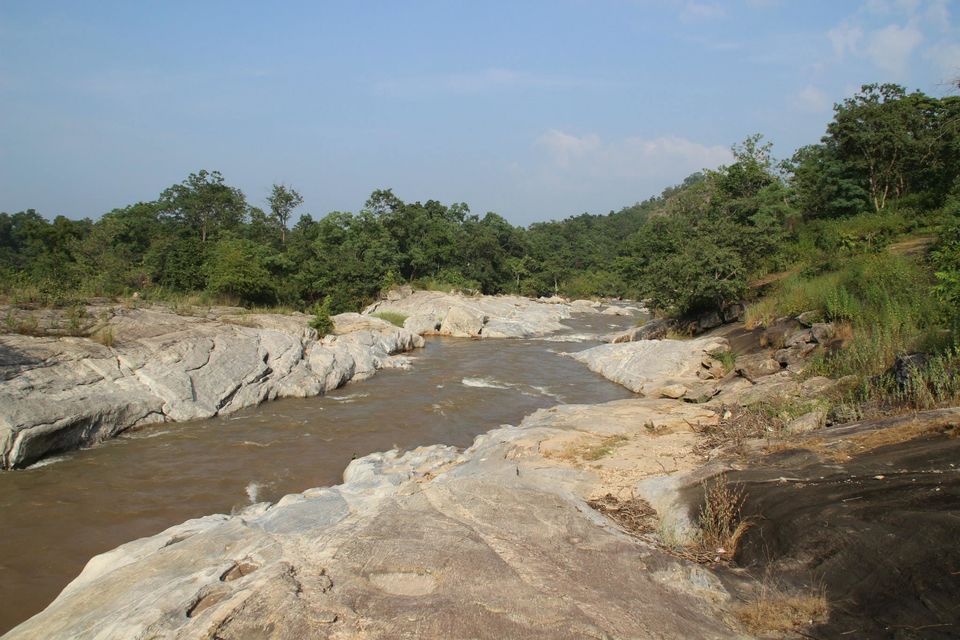Photo of Betla National Park, Palamau, Jharkhand 44/48 by Suchandan Ghosh