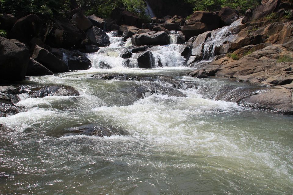Photo of Betla National Park, Palamau, Jharkhand 41/48 by Suchandan Ghosh