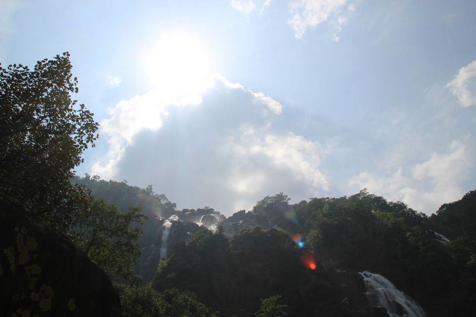Photo of Betla National Park, Palamau, Jharkhand 39/48 by Suchandan Ghosh