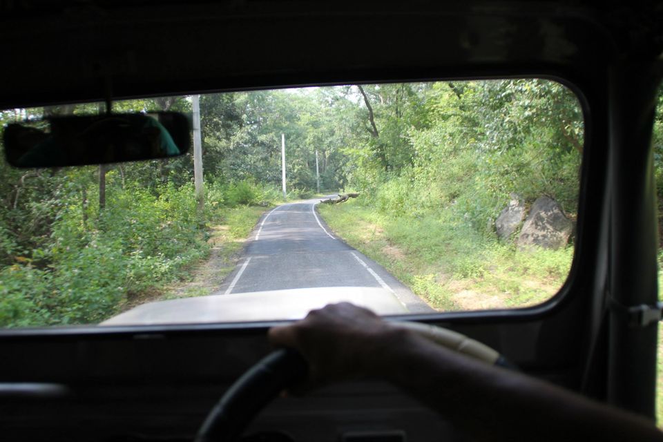 Photo of Betla National Park, Palamau, Jharkhand 35/48 by Suchandan Ghosh