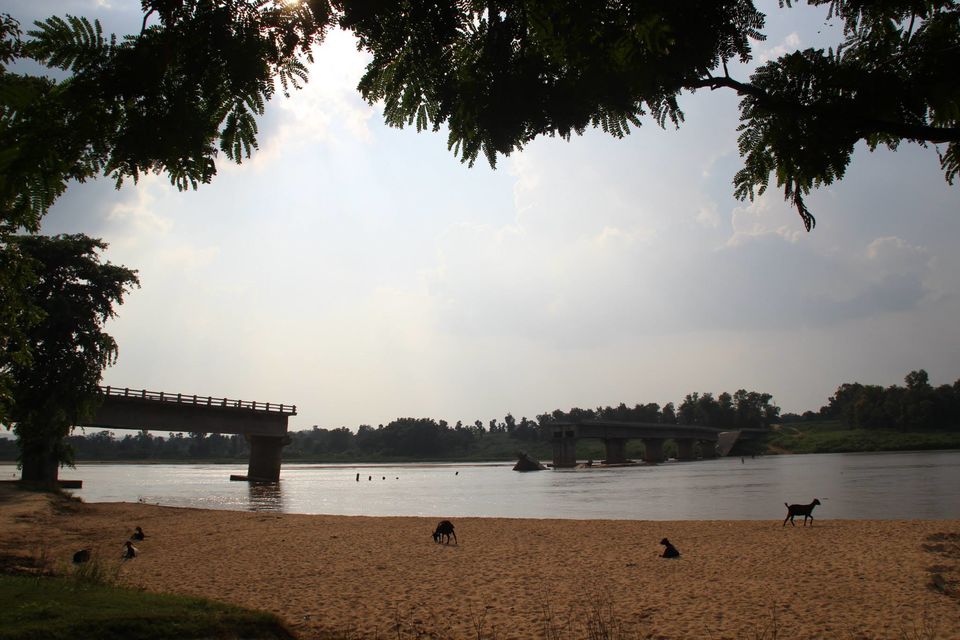 Photo of Betla National Park, Palamau, Jharkhand 9/48 by Suchandan Ghosh