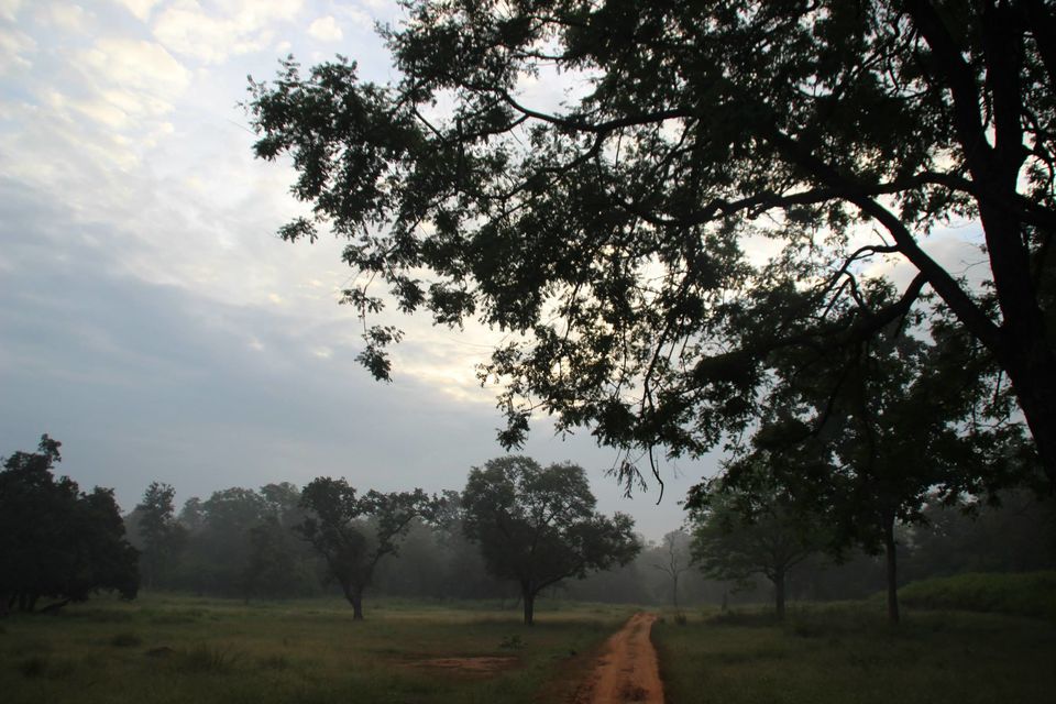 Photo of Betla National Park, Palamau, Jharkhand 46/48 by Suchandan Ghosh
