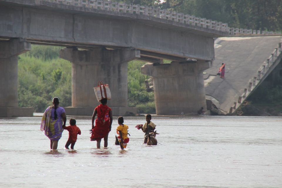 Photo of Betla National Park, Palamau, Jharkhand 10/48 by Suchandan Ghosh