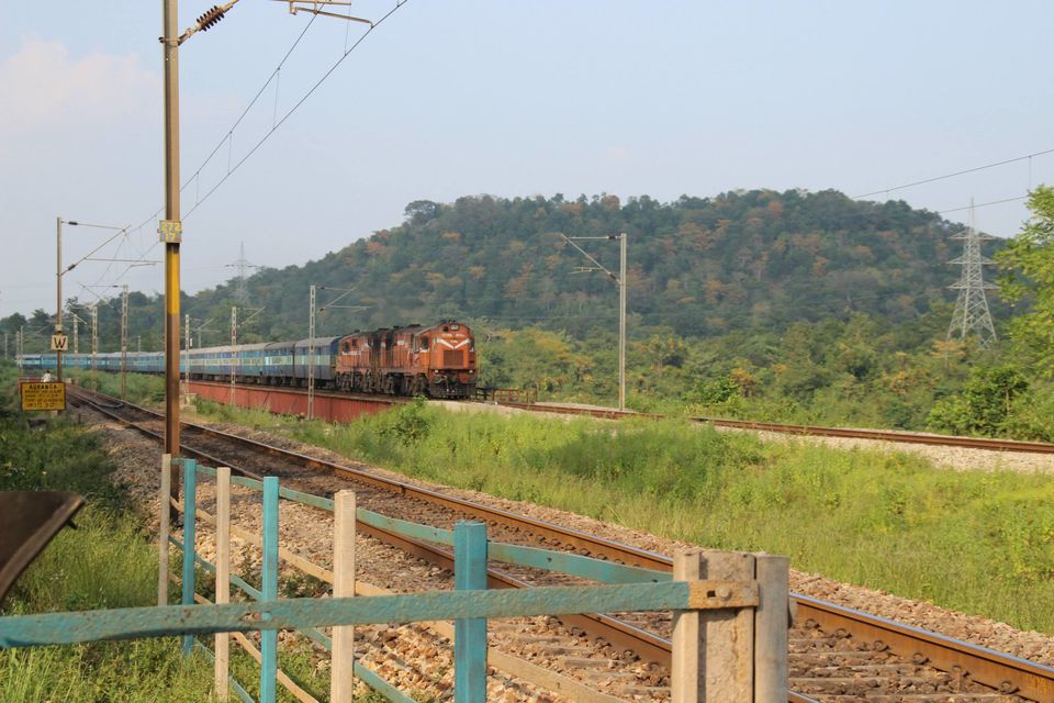 Photo of Betla National Park, Palamau, Jharkhand 11/48 by Suchandan Ghosh