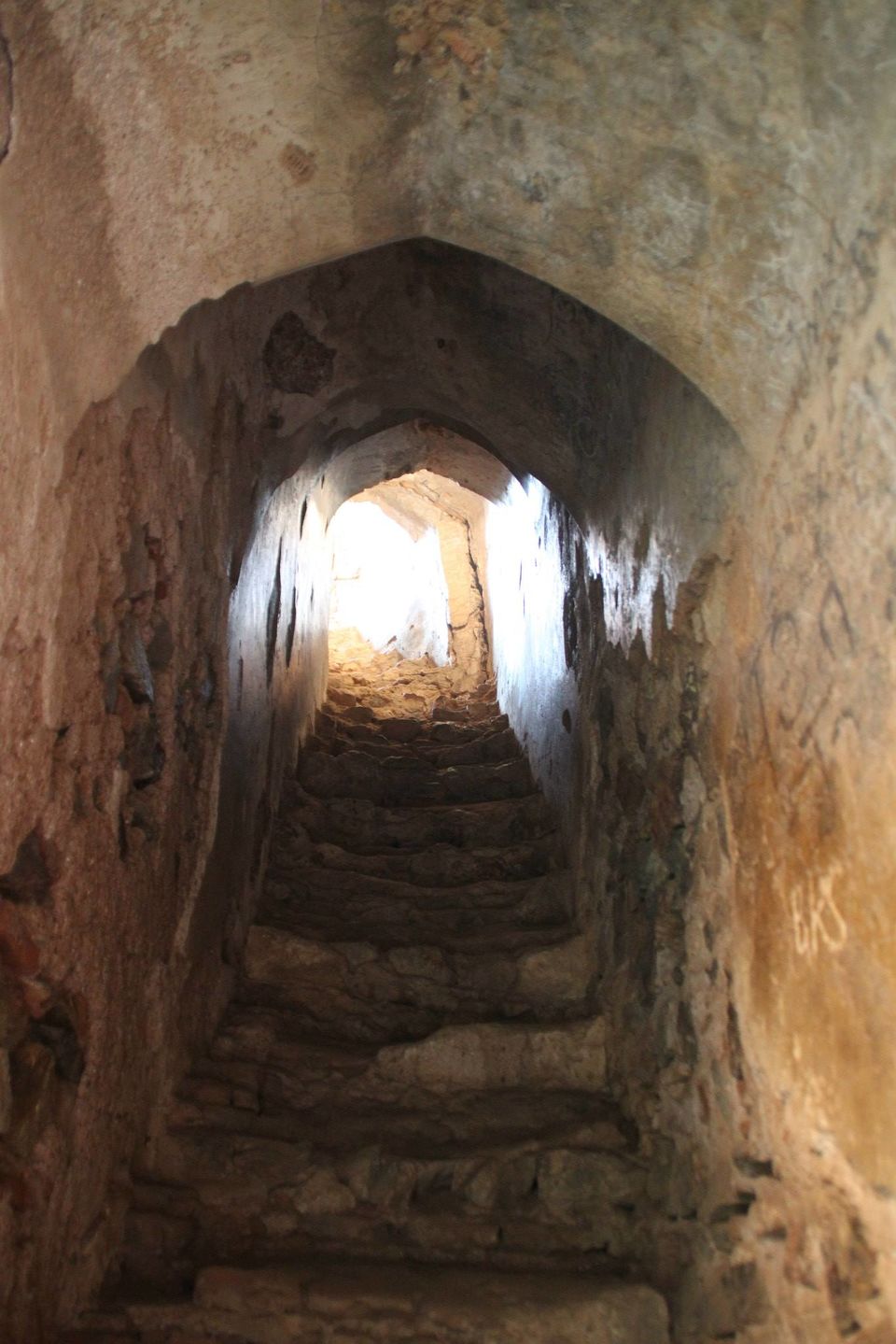 Photo of Betla National Park, Palamau, Jharkhand 15/48 by Suchandan Ghosh