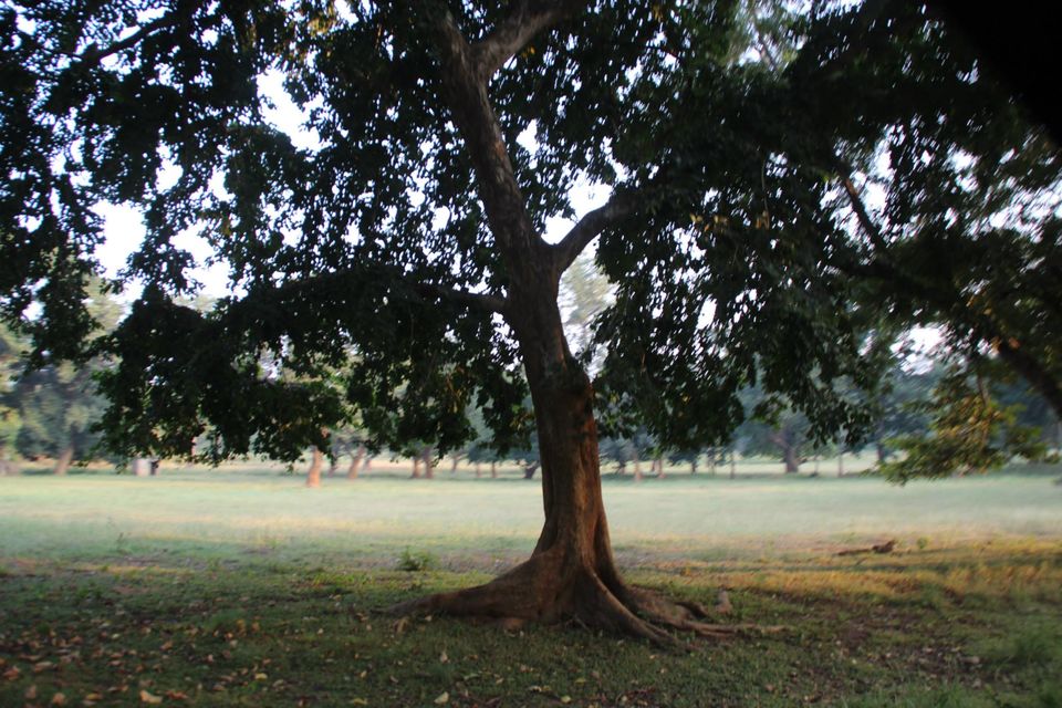 Photo of Betla National Park, Palamau, Jharkhand 17/48 by Suchandan Ghosh