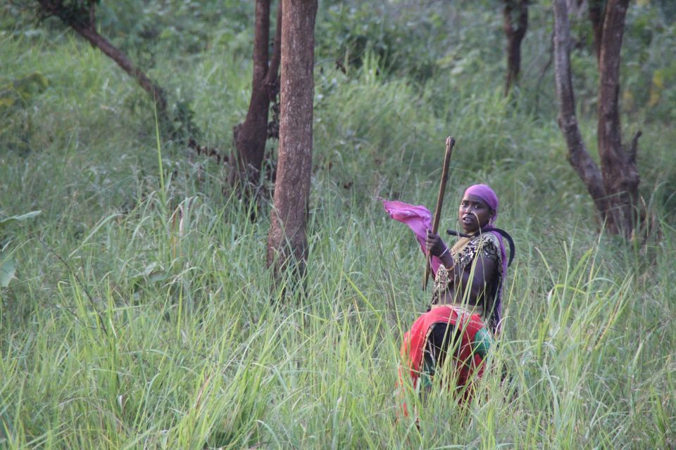 Photo of Betla National Park, Palamau, Jharkhand 21/48 by Suchandan Ghosh