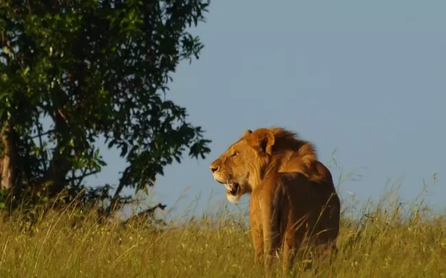 Photo of National Park, Nairobi, Kenya by Sarah