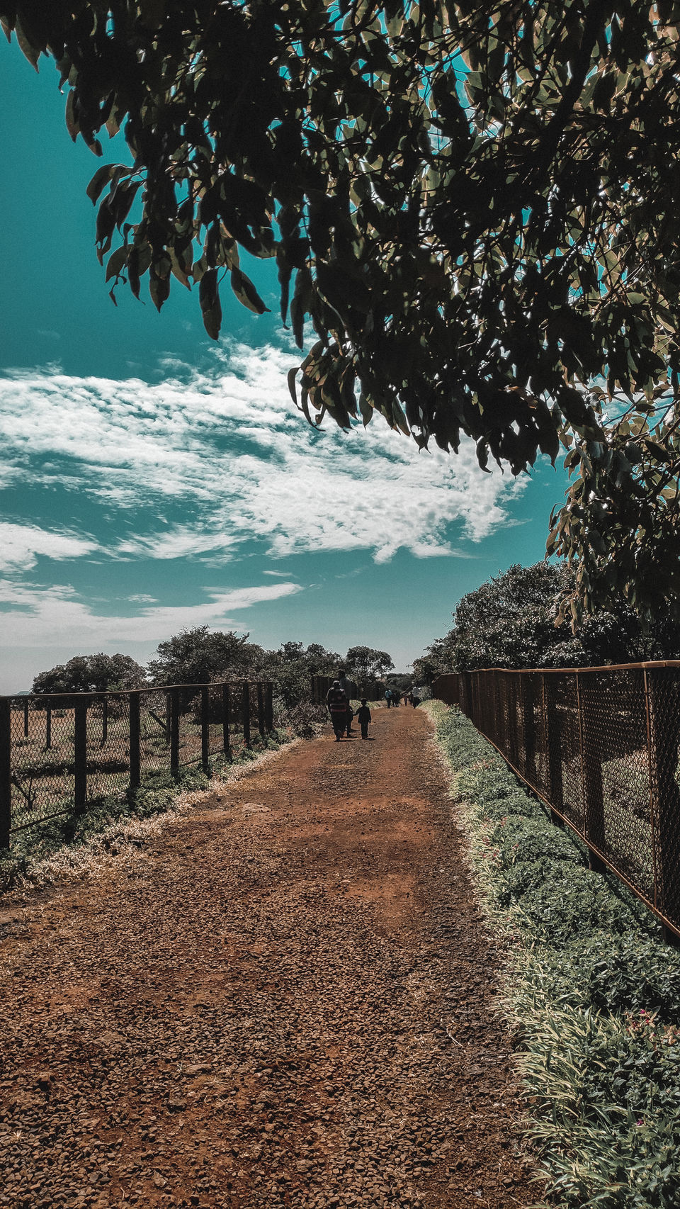 Photo of Kaas Pathar- A wonderful natural heritage site in Maharashtra by piyush jain