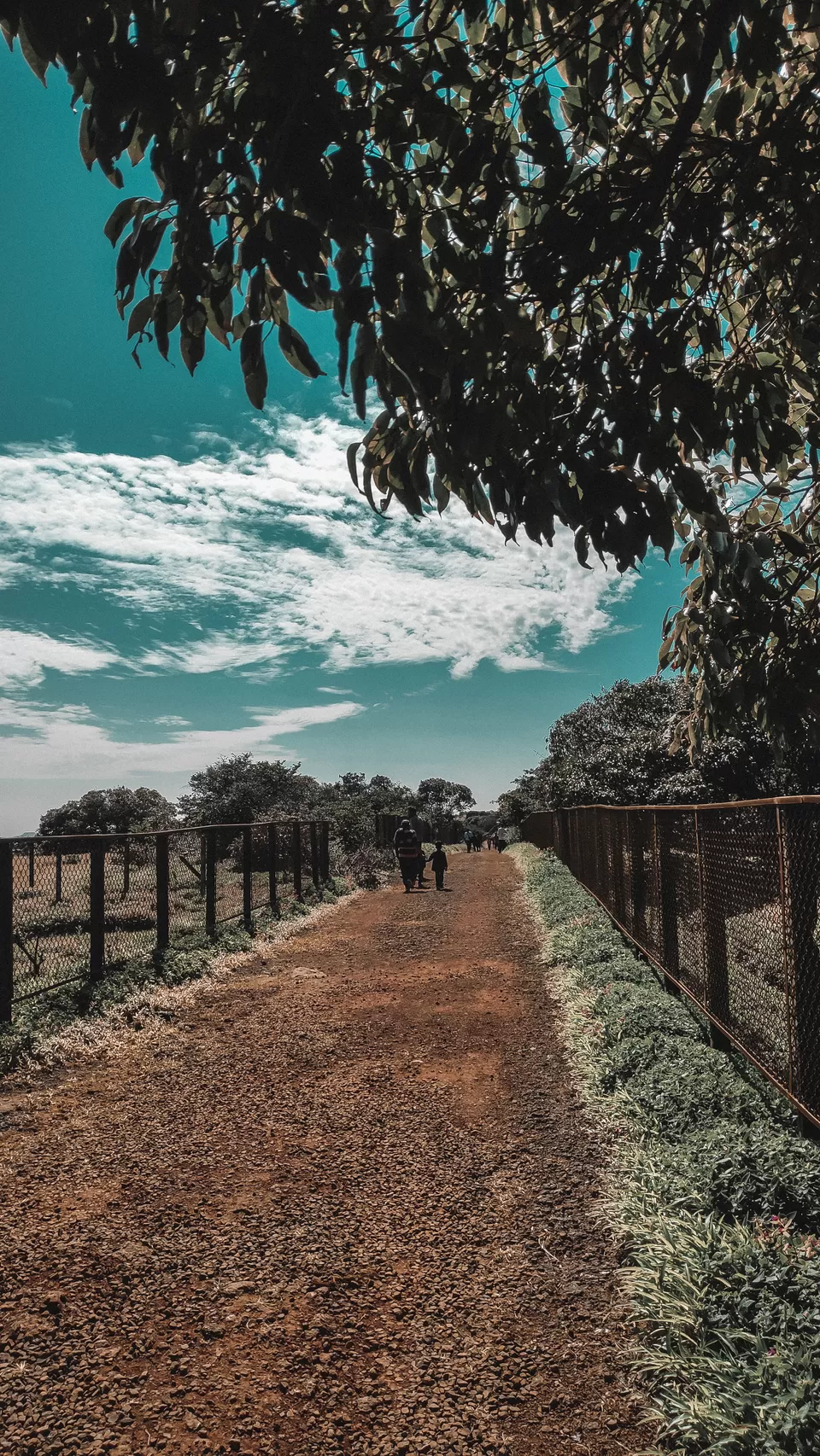 Photo of Kaas Pathar- A wonderful natural heritage site in Maharashtra by piyush jain