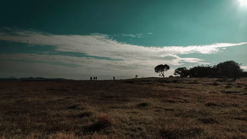 Photo of Kaas Pathar- A wonderful natural heritage site in Maharashtra by piyush jain