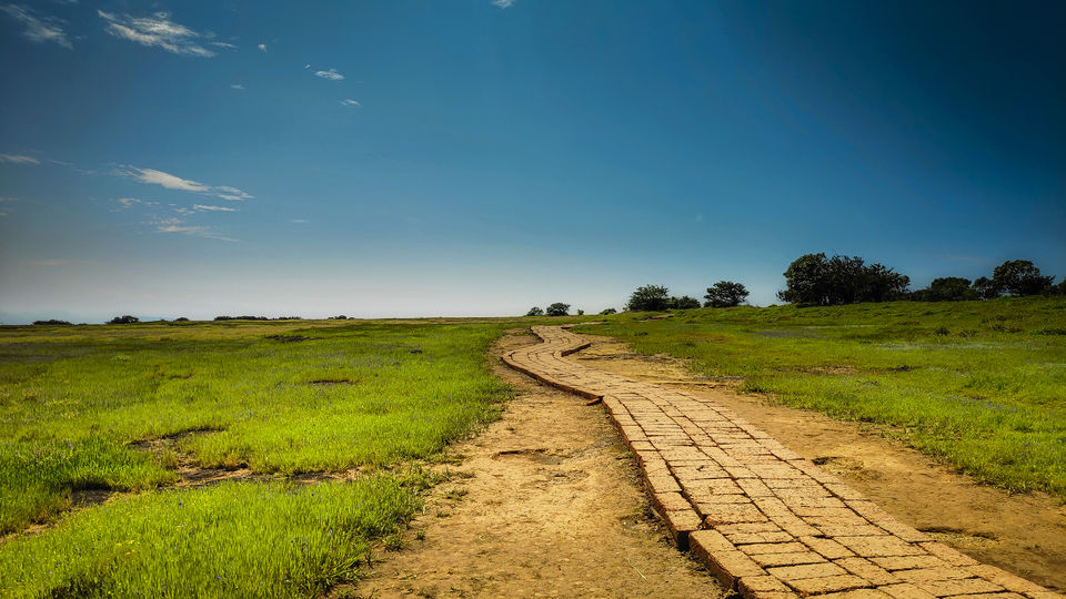 Photo of Kaas Pathar- A wonderful natural heritage site in Maharashtra by piyush jain