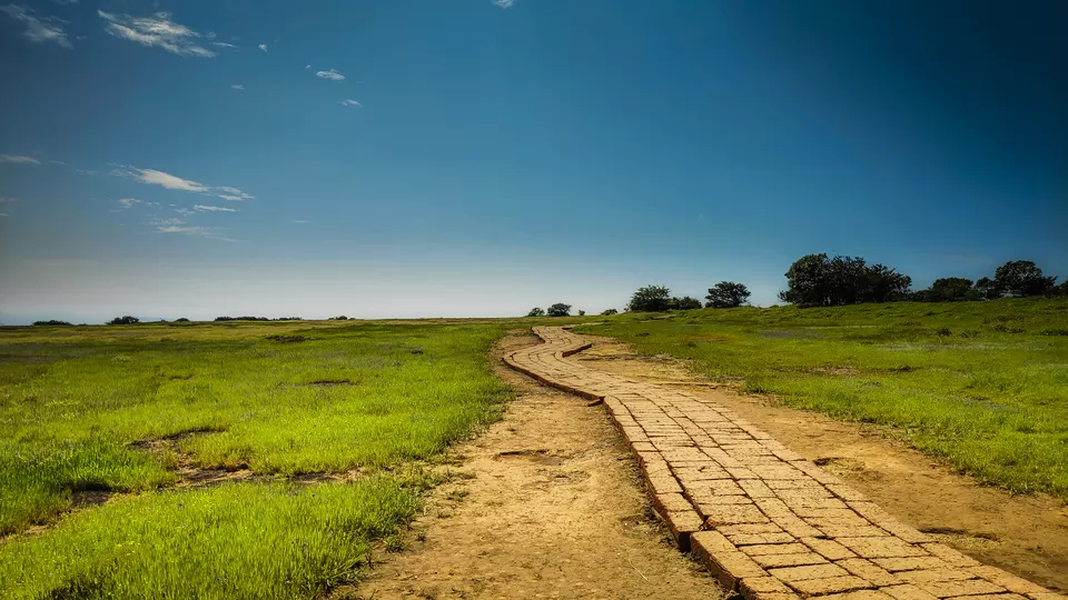 Photo of Kaas Pathar- A wonderful natural heritage site in Maharashtra by piyush jain