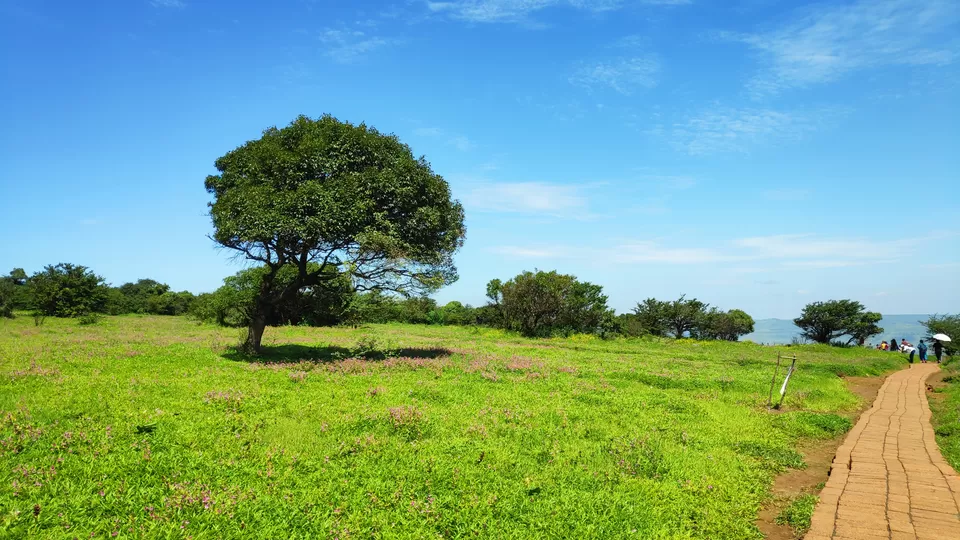 Photo of Kaas Pathar- A wonderful natural heritage site in Maharashtra by piyush jain
