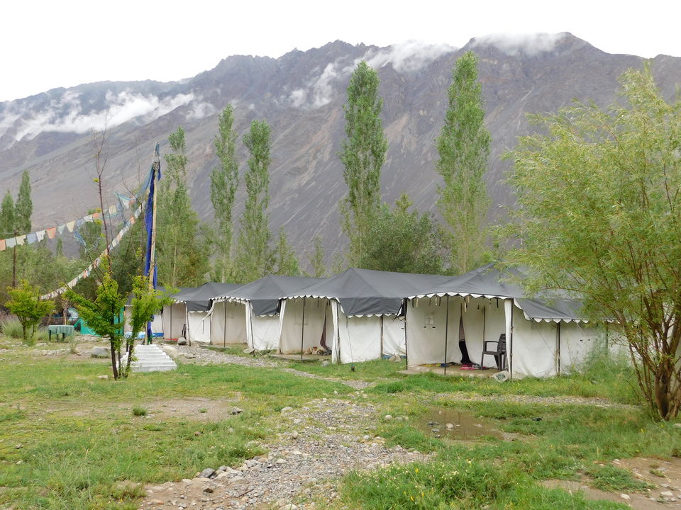 Photo of Nubra Valley, Hunder by Prajakta S