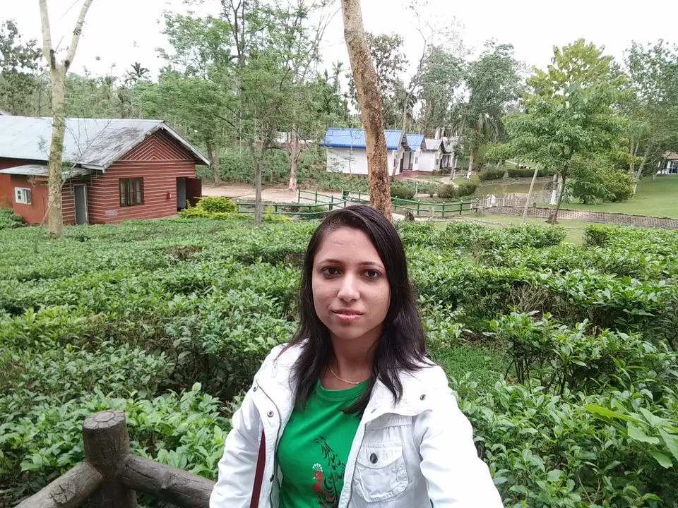 Photo of Kaziranga National Park, Kanchanjuri, Assam, India by Tripping With Prajakta