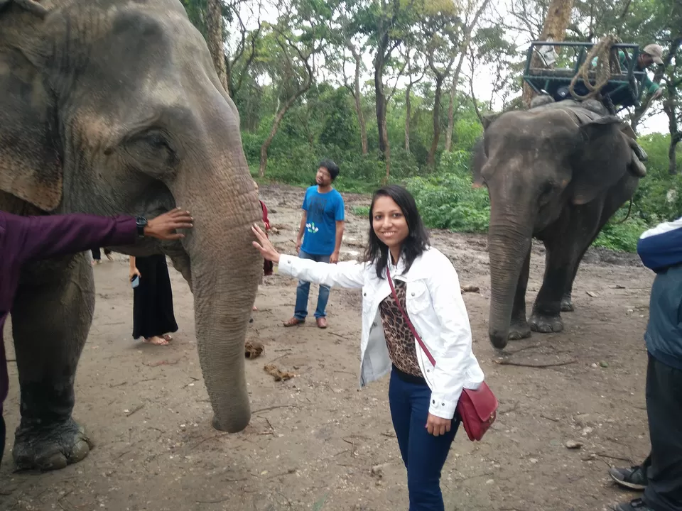 Photo of Kaziranga National Park, Kanchanjuri, Assam, India by Tripping With Prajakta