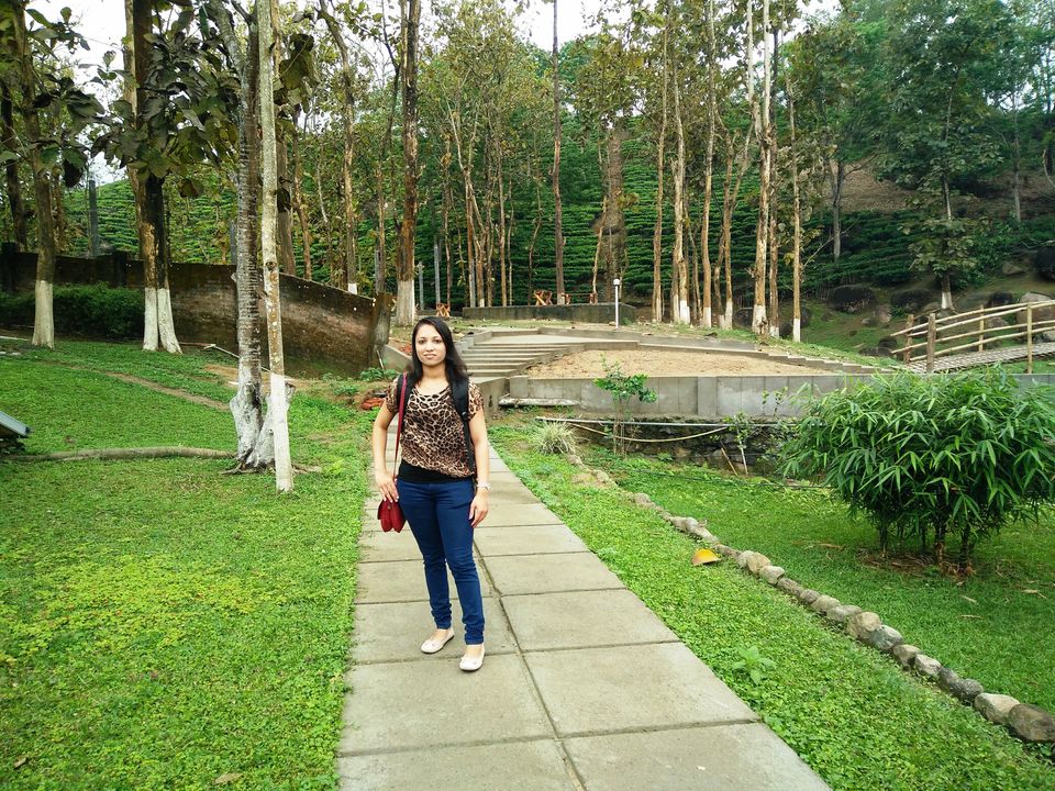 Photo of Kaziranga National Park, Kanchanjuri, Assam, India by Tripping With Prajakta