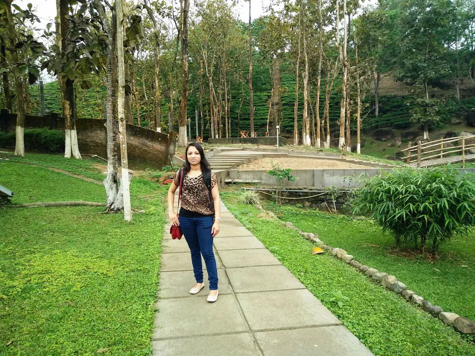 Photo of Kaziranga National Park, Kanchanjuri, Assam, India by Tripping With Prajakta