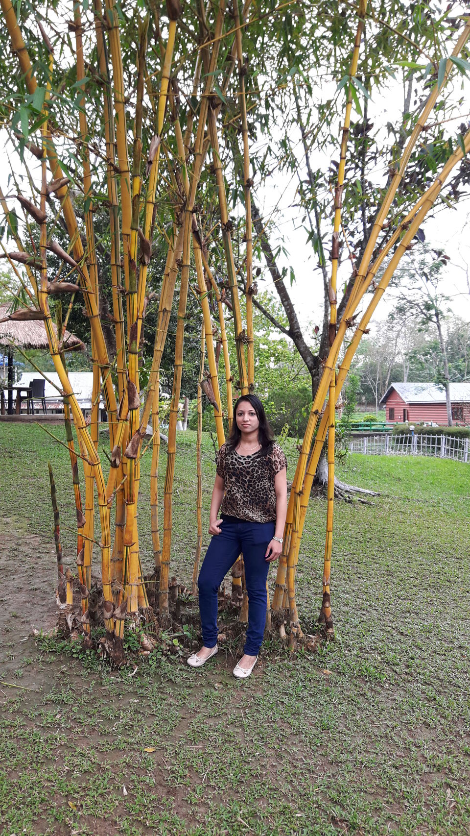 Photo of Kaziranga National Park, Kanchanjuri, Assam, India by Tripping With Prajakta