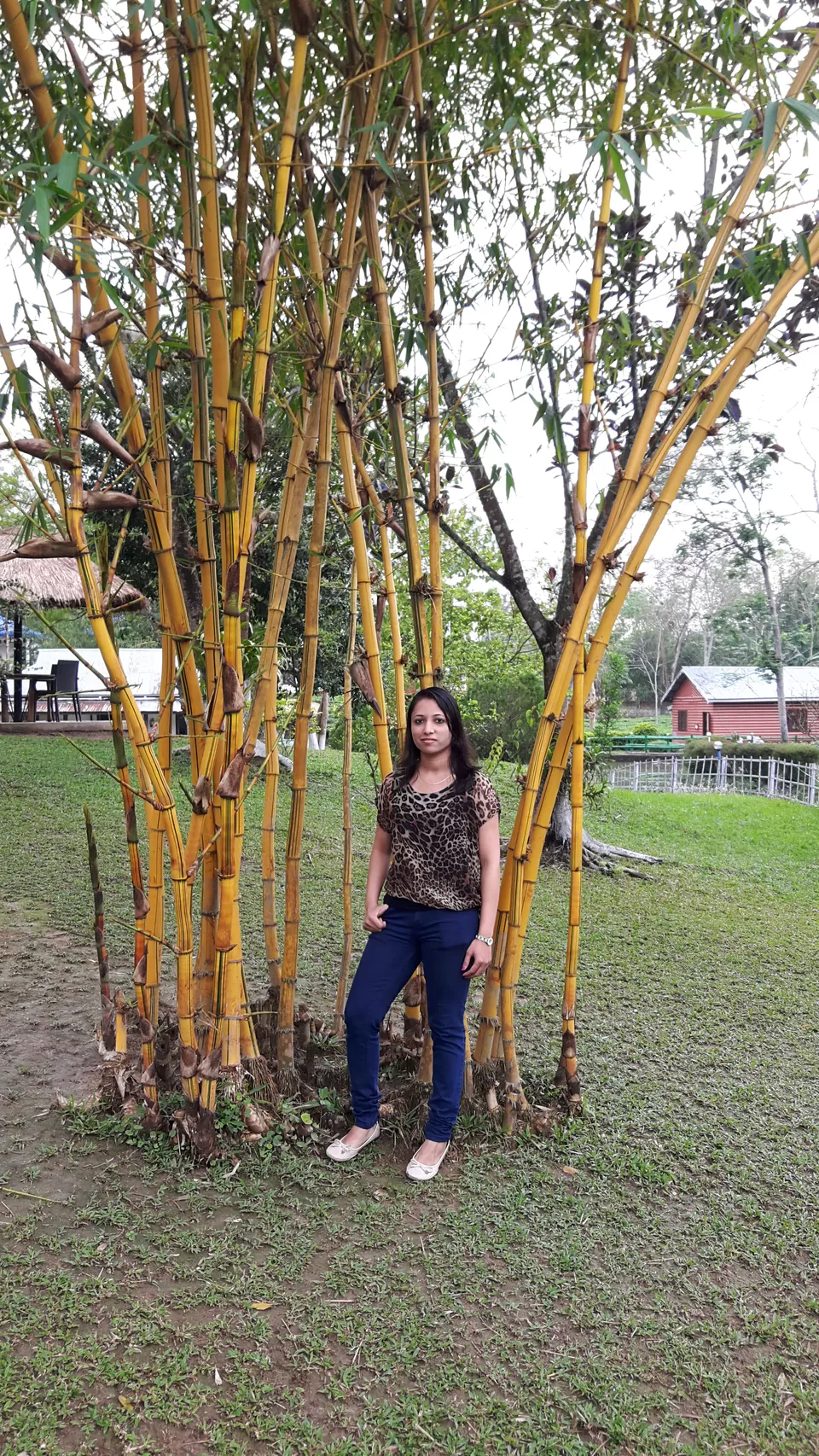 Photo of Kaziranga National Park, Kanchanjuri, Assam, India by Tripping With Prajakta