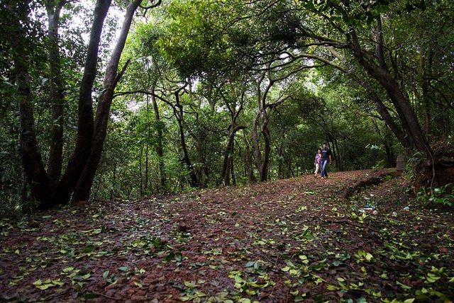 Photo of Matheran in Monsoon – A Heaven near Mumbai 5/19 by Saurabh Chatterjee