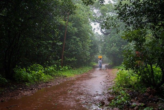 Photo of Matheran in Monsoon – A Heaven near Mumbai 6/19 by Saurabh Chatterjee