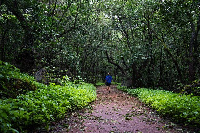 Photo of Matheran in Monsoon – A Heaven near Mumbai 11/19 by Saurabh Chatterjee