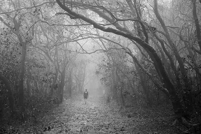 Photo of Matheran in Monsoon – A Heaven near Mumbai 15/19 by Saurabh Chatterjee