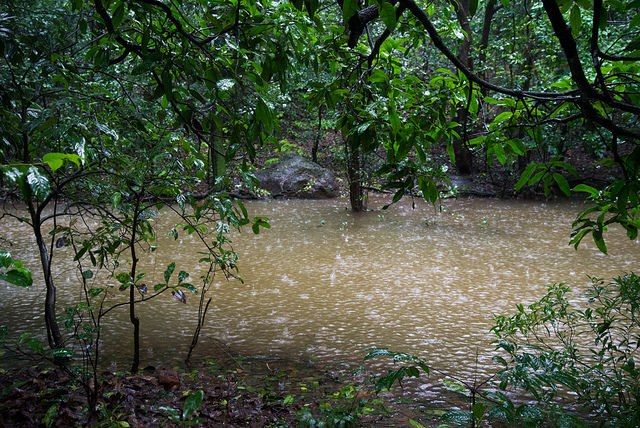 Photo of Matheran in Monsoon – A Heaven near Mumbai 16/19 by Saurabh Chatterjee