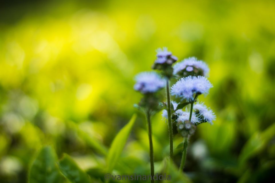 Photo of Backpacking to Droog Fort, Coonoor 3/6 by Vamsi Nandola