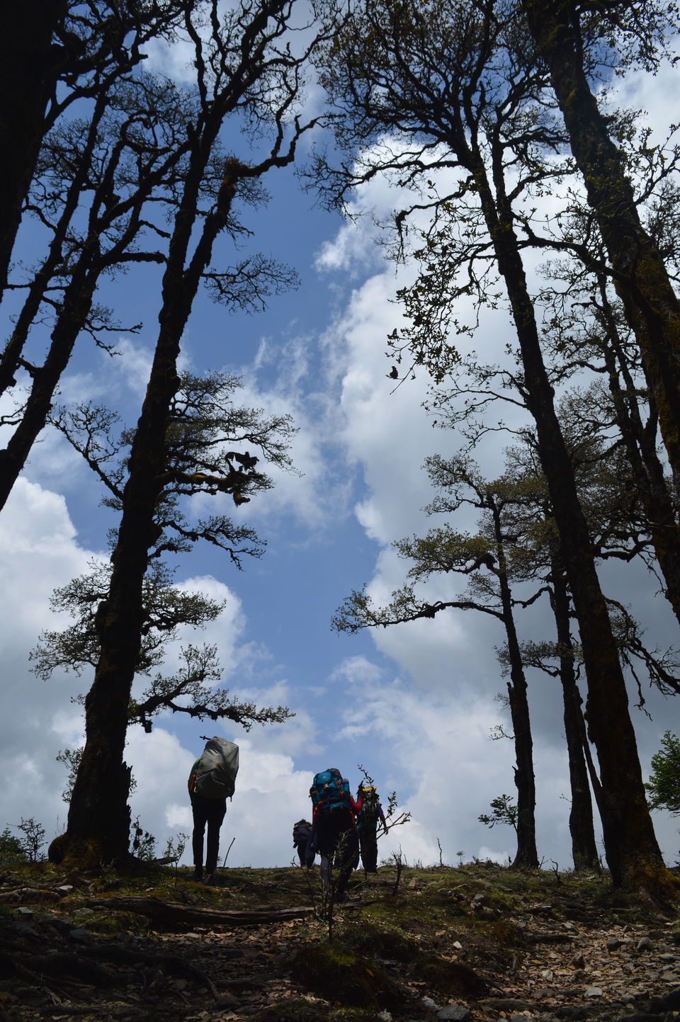 Photo of Bedini Bugyal, Roopkund Trail, Uttarakhand, India by Vamsi Nandola