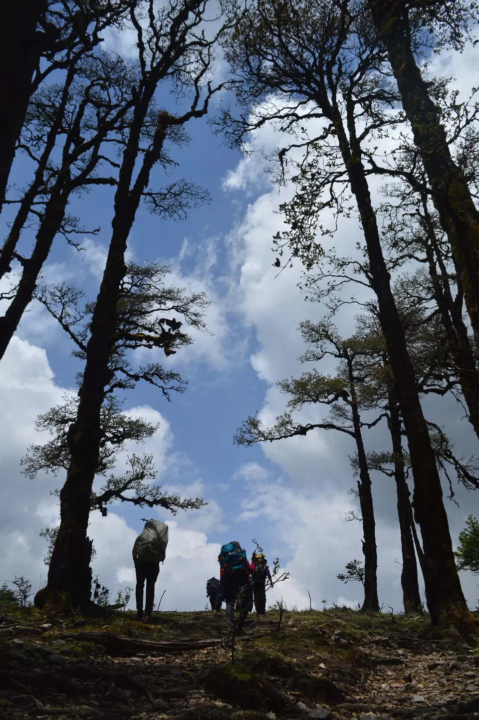 Photo of Bedini Bugyal, Roopkund Trail, Uttarakhand, India by Vamsi Nandola