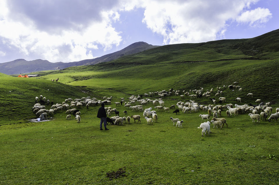 Photo of Ali Bugyal, Roopkund Trail, Uttarakhand, India by Vamsi Nandola
