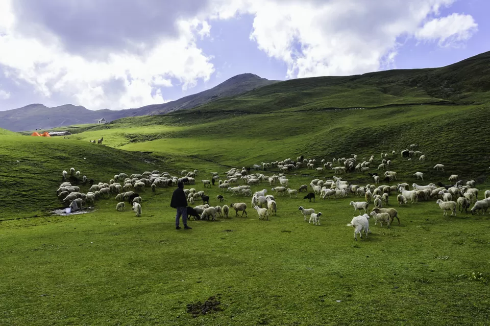 Photo of Ali Bugyal, Roopkund Trail, Uttarakhand, India by Vamsi Nandola