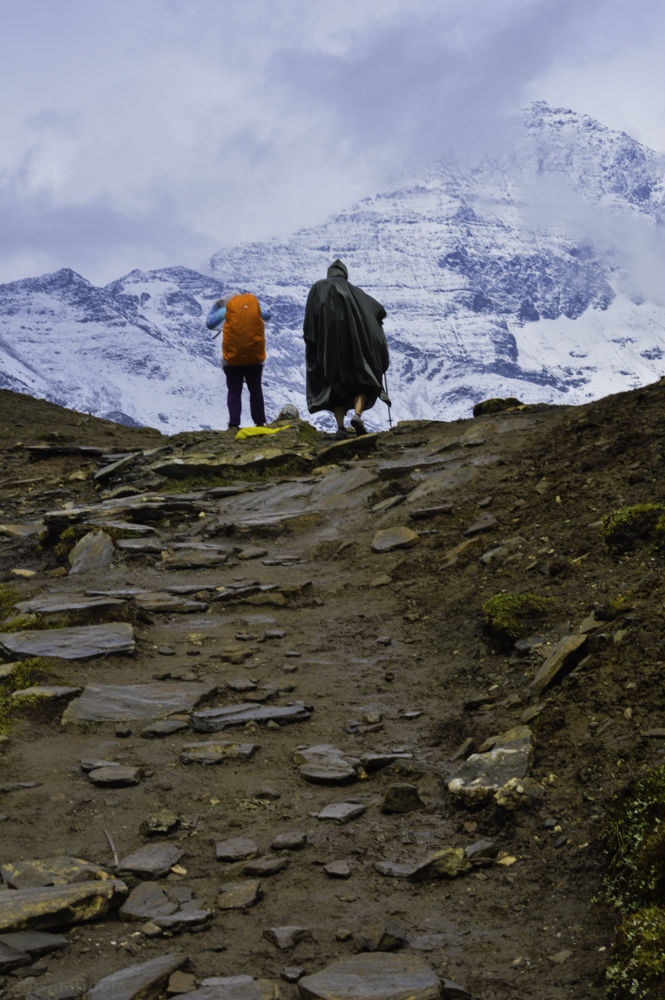 Photo of Bedini Bugyal - 2017 by Vamsi Nandola