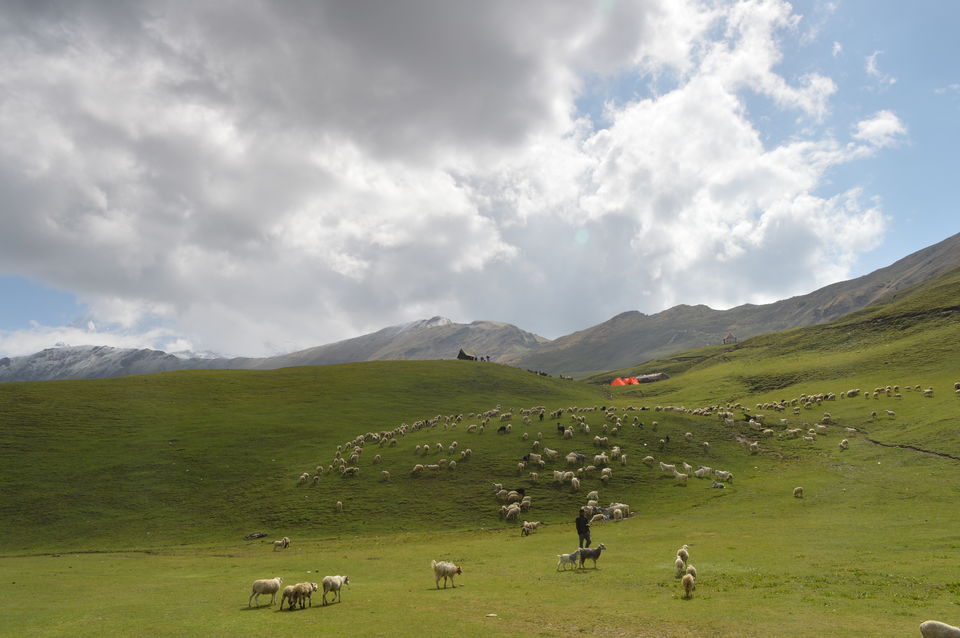 Photo of Bedini Bugyal - 2017 by Vamsi Nandola