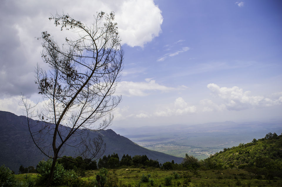 Photo of Ooty, Tamil Nadu, India by Vamsi Nandola