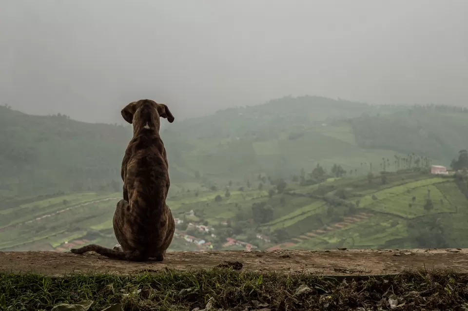 Photo of Coonoor, Tamil Nadu, India by Vamsi Nandola