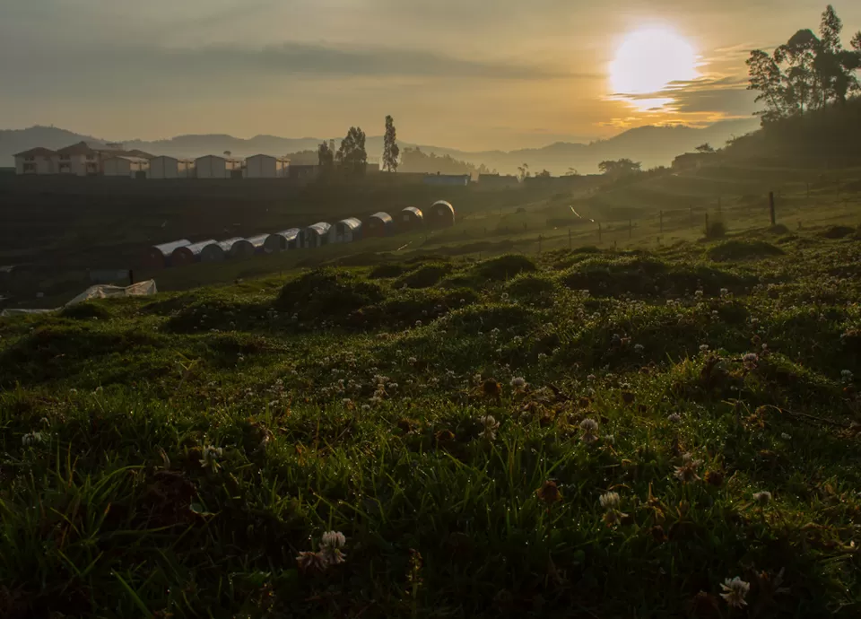 Photo of Ooty, Tamil Nadu, India by Vamsi Nandola