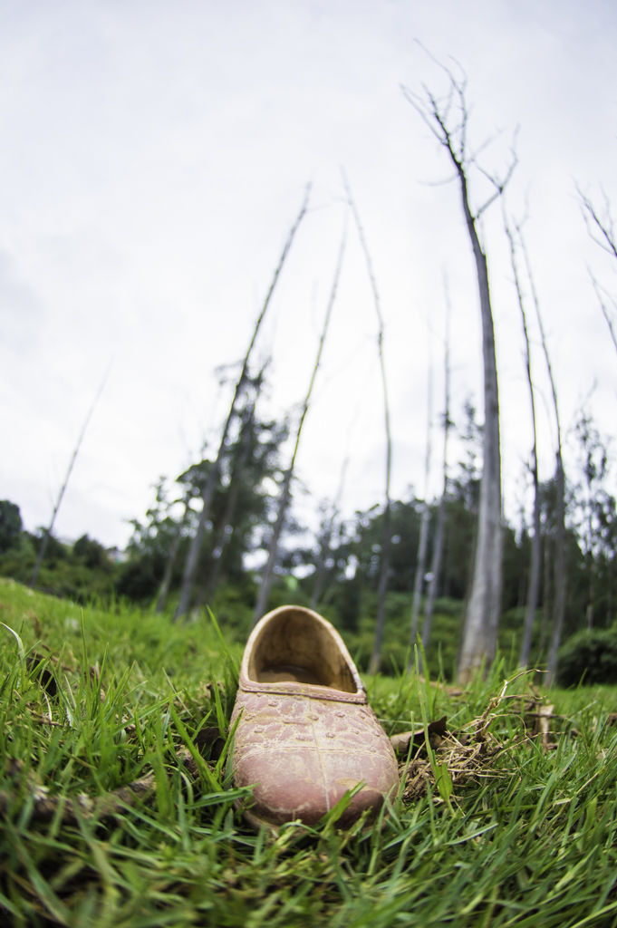 Photo of Ooty, Tamil Nadu, India by Vamsi Nandola