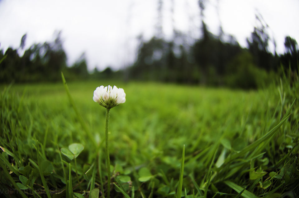 Photo of Ooty, Tamil Nadu, India by Vamsi Nandola