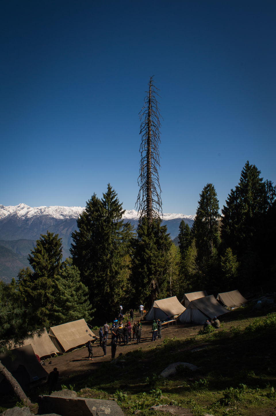 Photo of Chandrakhani Pass- 2018 - Part Deux by Vamsi Nandola