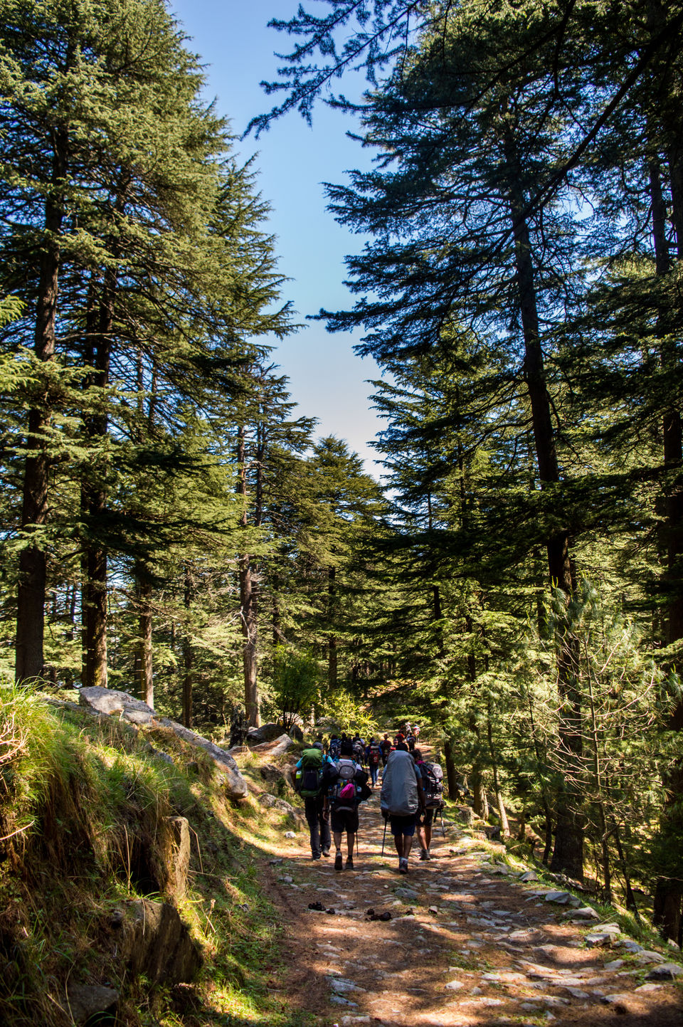Photo of Chandrakhani Pass- 2018 - Part Deux by Vamsi Nandola